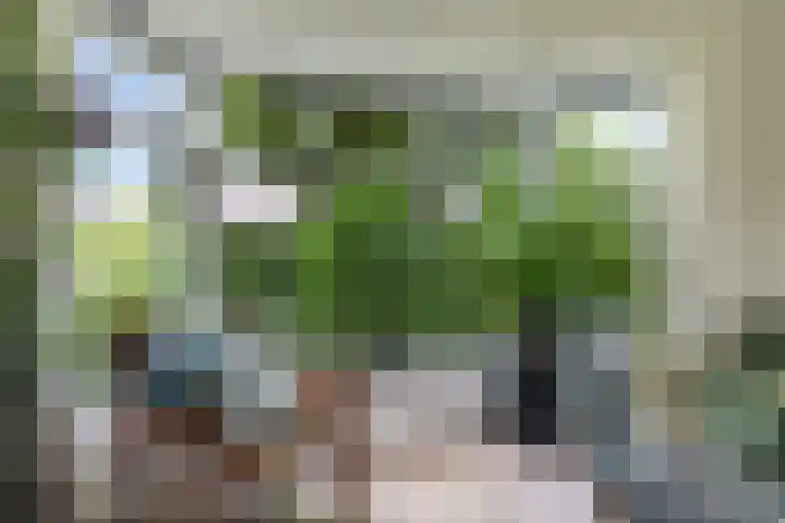 Kerkstraat 43 Randwijk thumbnail 16