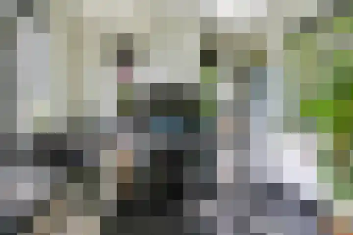 Kerkstraat 43 Randwijk thumbnail 27