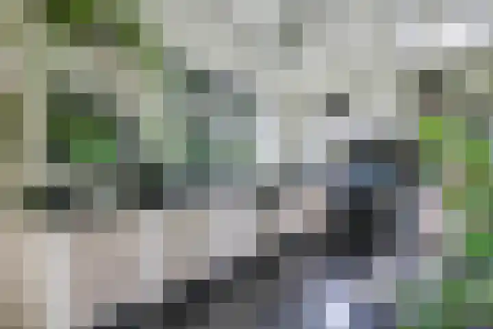 Kerkstraat 43 Randwijk thumbnail 4