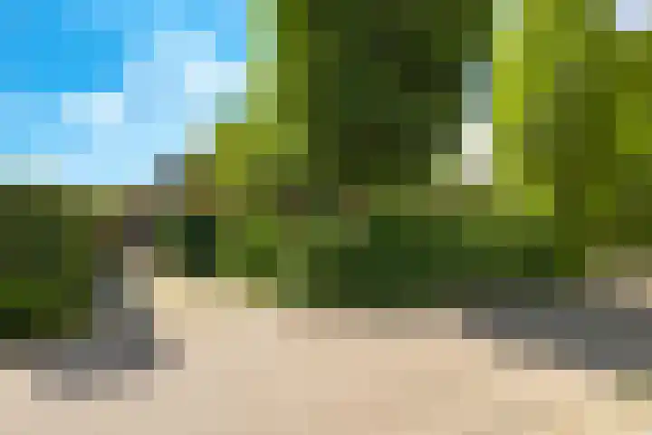 Kerkstraat 43 Randwijk thumbnail 86