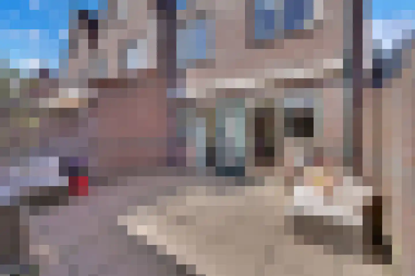 Kerkstraat 43 Voorburg thumbnail 12