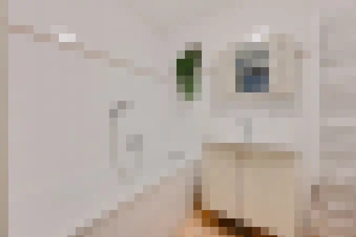 Kerkstraat 43 Voorburg thumbnail 18