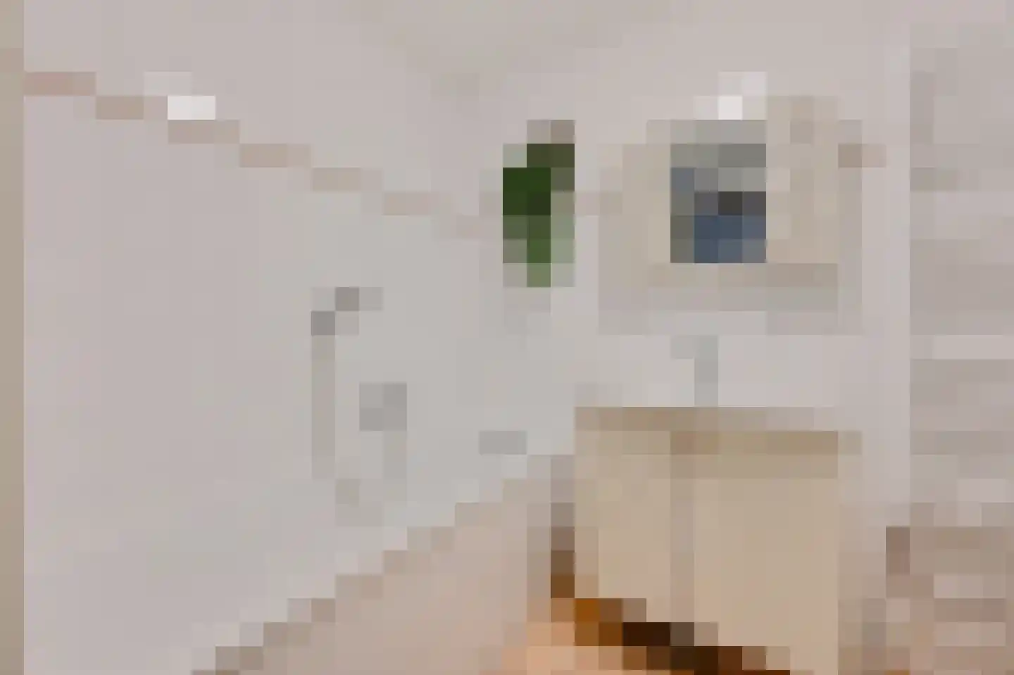 Kerkstraat 43 Voorburg thumbnail 18
