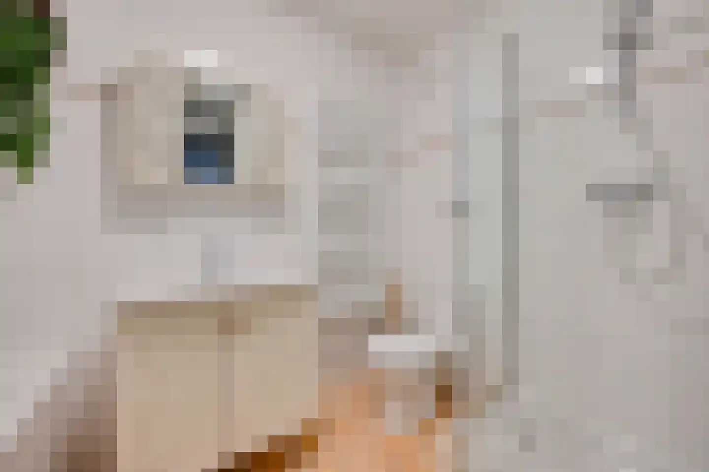 Kerkstraat 43 Voorburg thumbnail 19
