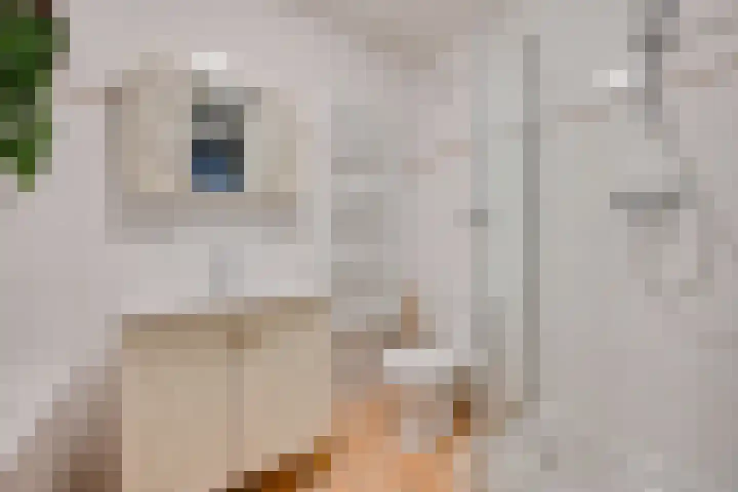 Kerkstraat 43 Voorburg thumbnail 19