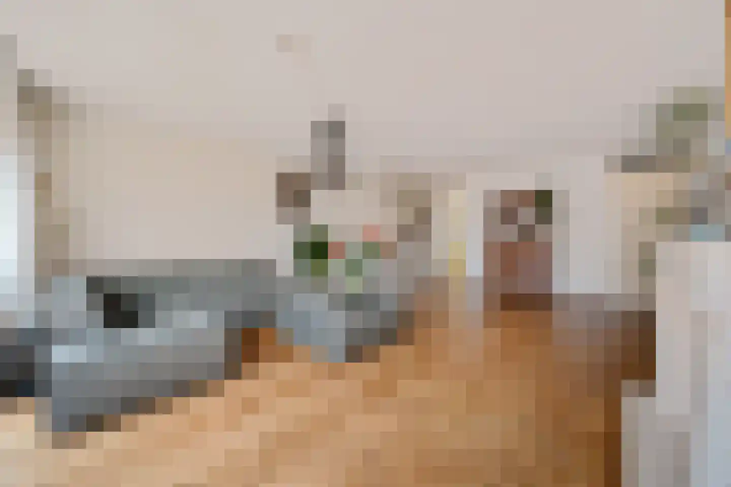 Kerkstraat 43 Voorburg thumbnail 6
