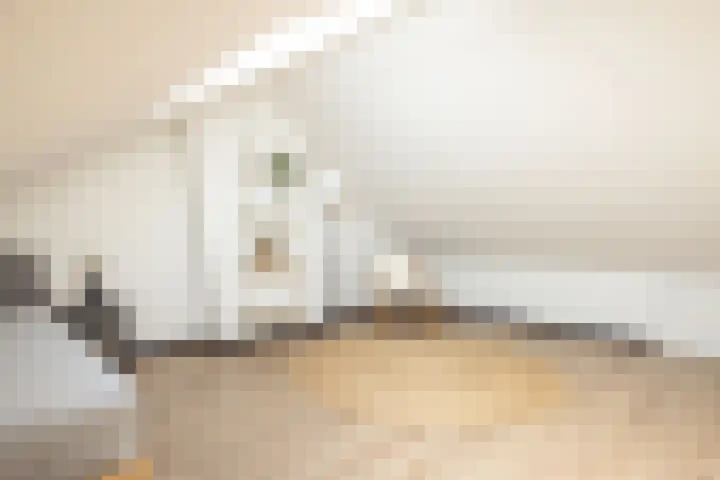 Kerkstraat 44 Bocholtz thumbnail 31
