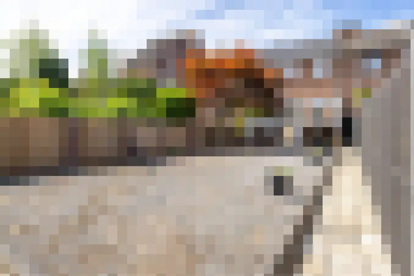 Kerkstraat 44 Bocholtz thumbnail 39