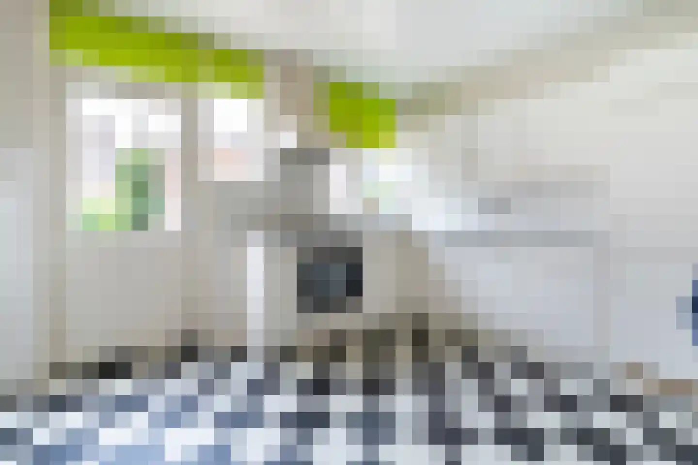 Kerkstraat 44 Vianen thumbnail 18