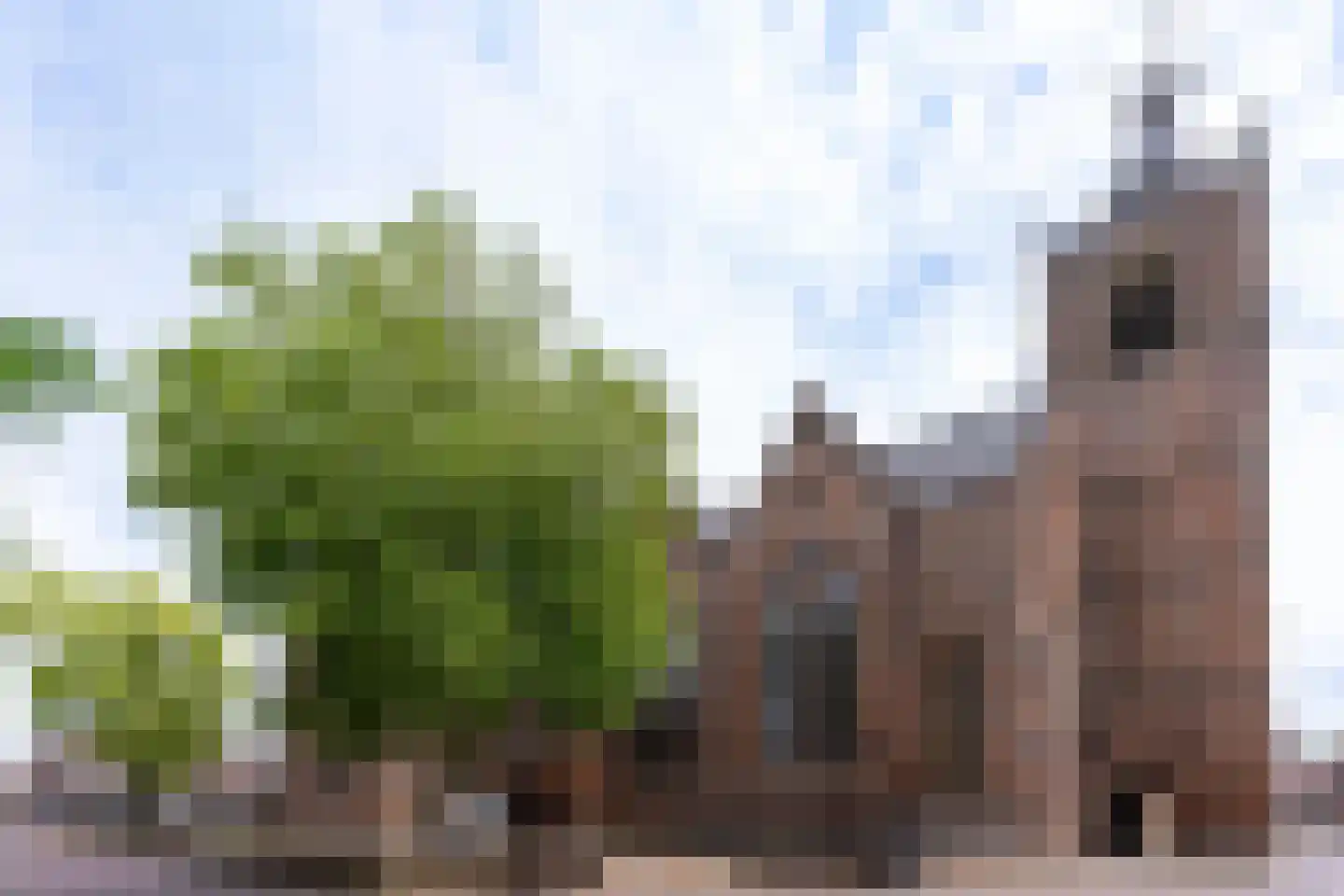 Kerkstraat 44 Vianen thumbnail 50