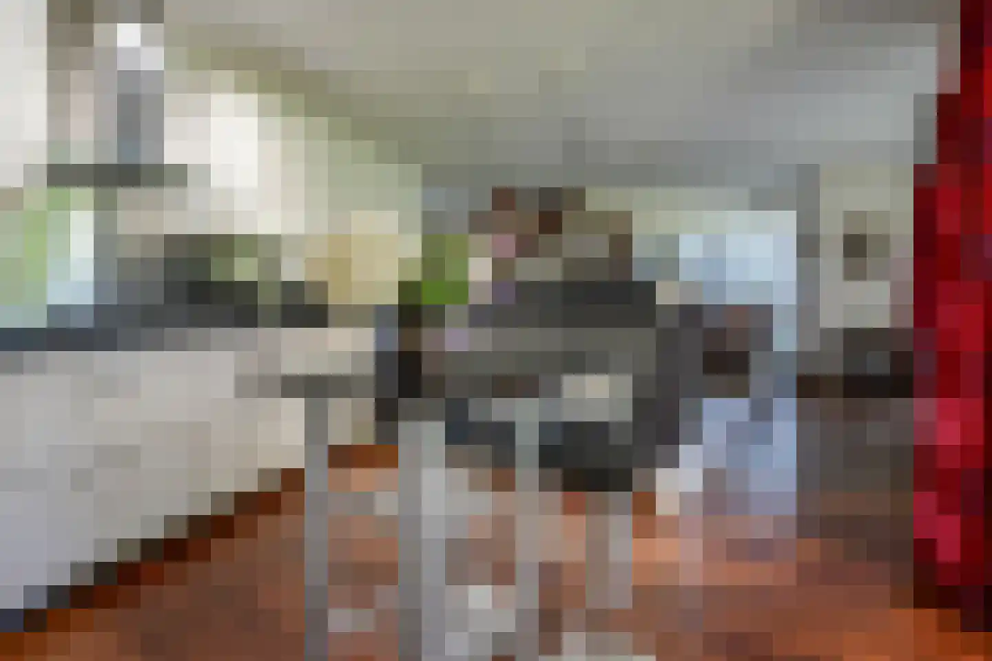 Kerkstraat 45 Bleiswijk thumbnail 21