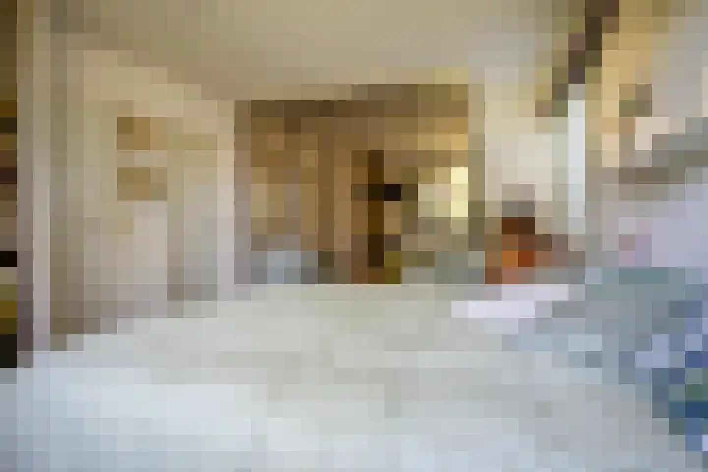 Kerkstraat 45 Bleiswijk thumbnail 25