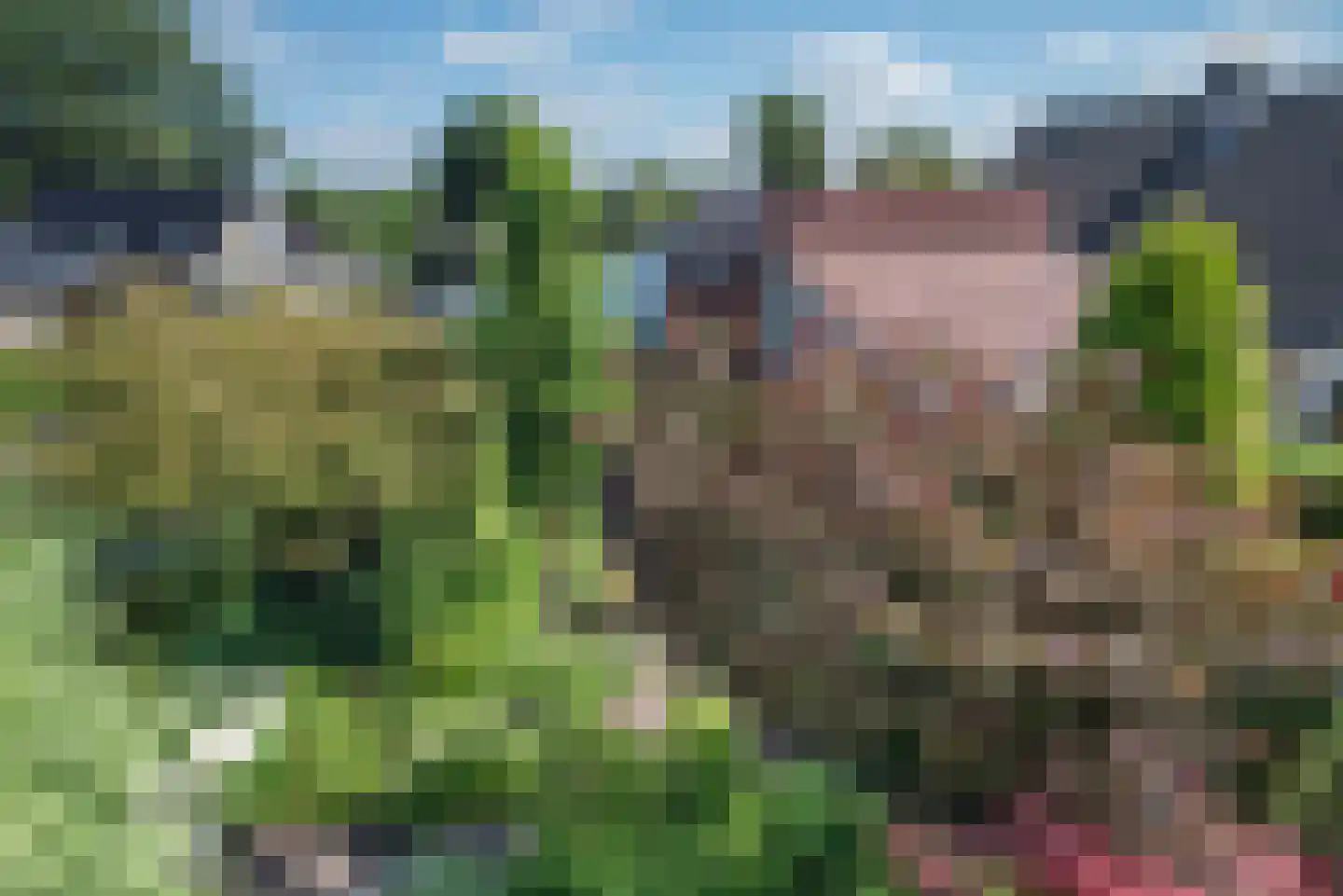 Kerkstraat 45 Bleiswijk thumbnail 4