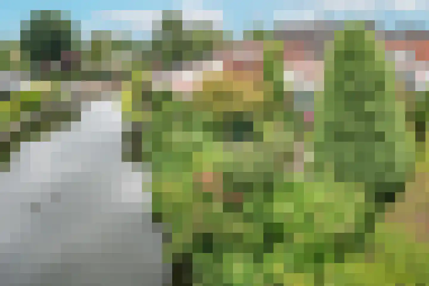Kerkstraat 45 Bleiswijk thumbnail 4