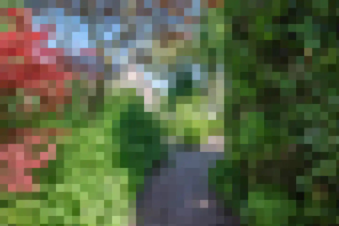 Kerkstraat 45 Bleiswijk thumbnail 43