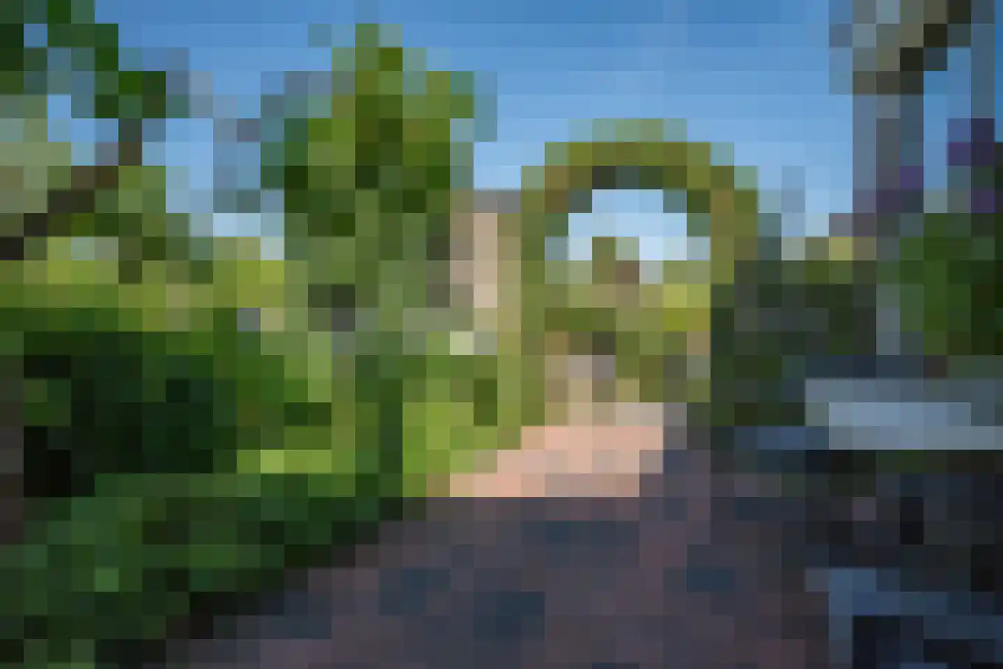 Kerkstraat 45 Bleiswijk thumbnail 46