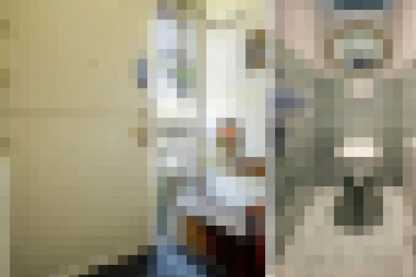 Kerkstraat 45 Bleiswijk thumbnail 7