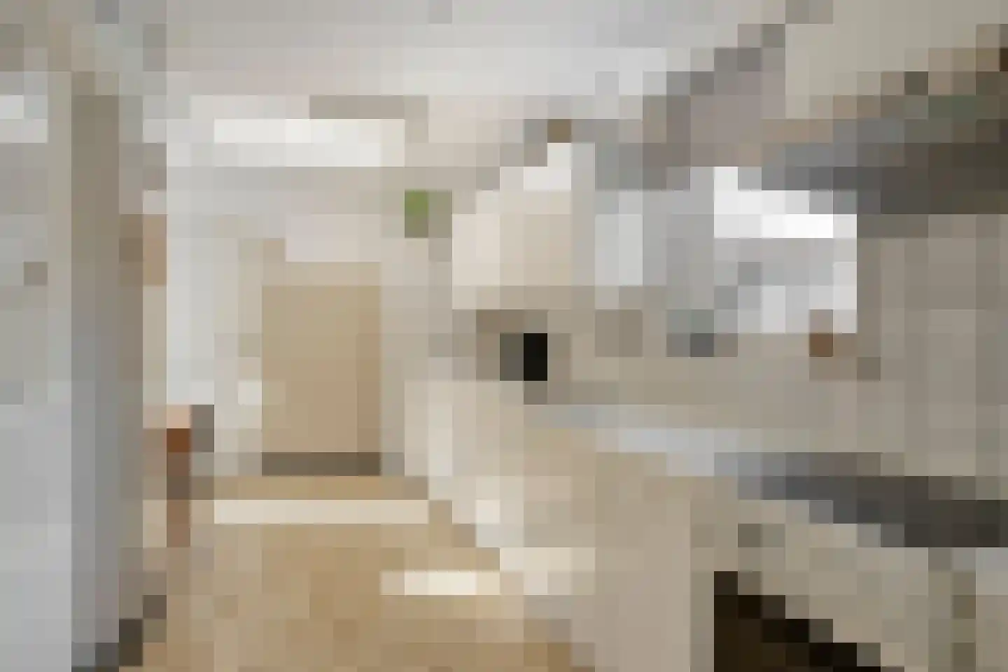 Kerkstraat 46 Beek en Donk thumbnail 10