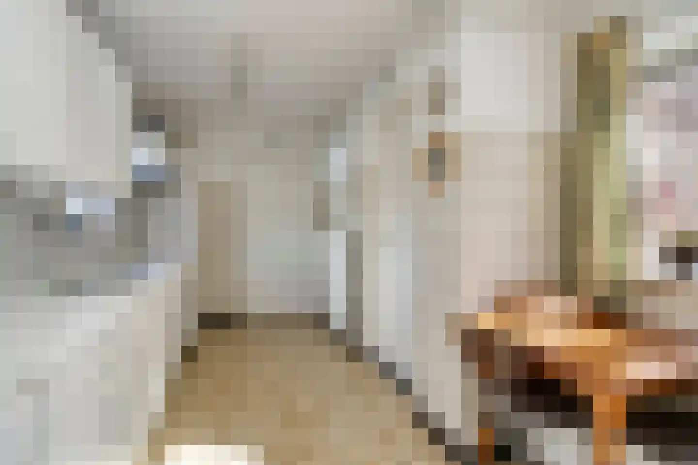 Kerkstraat 46 Beek en Donk thumbnail 12