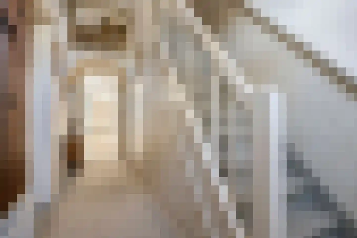 Kerkstraat 46 Beek en Donk thumbnail 17