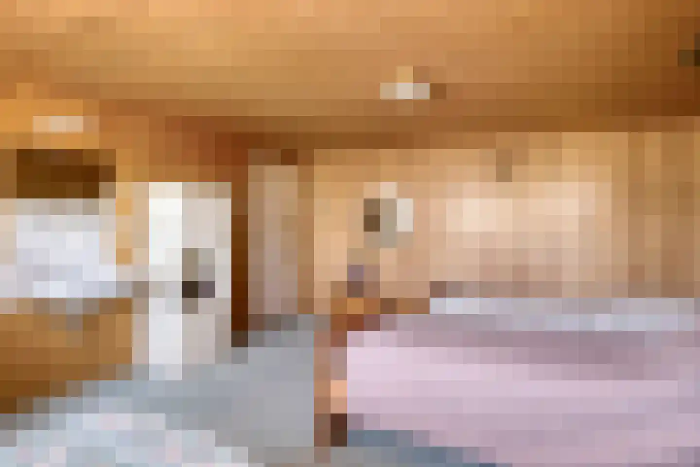 Kerkstraat 46 Beek en Donk thumbnail 21