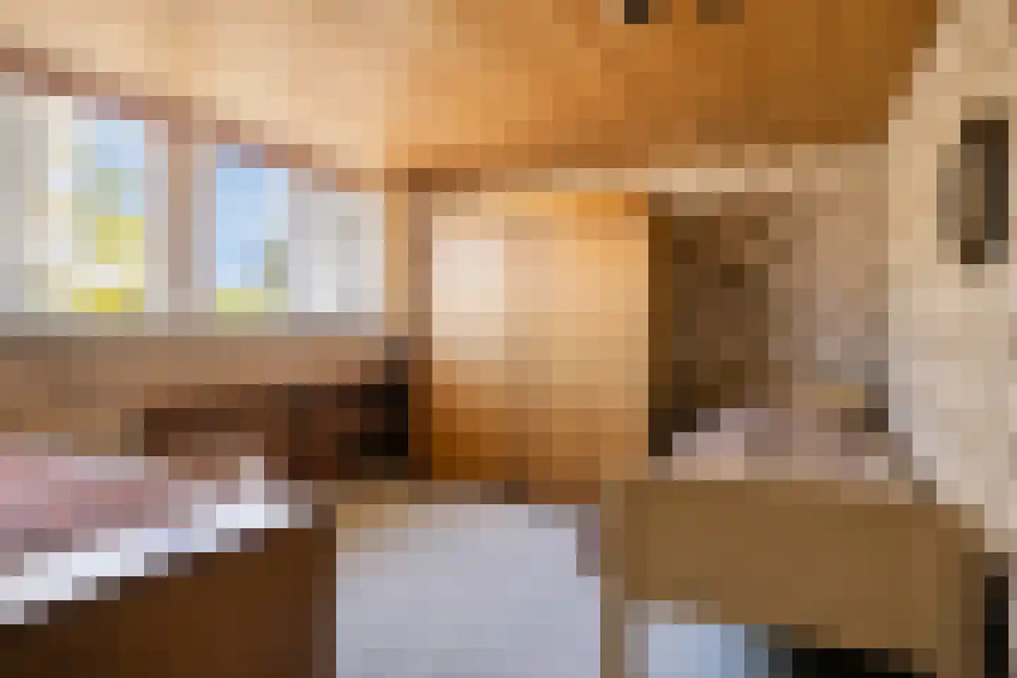 Kerkstraat 46 Beek en Donk thumbnail 22