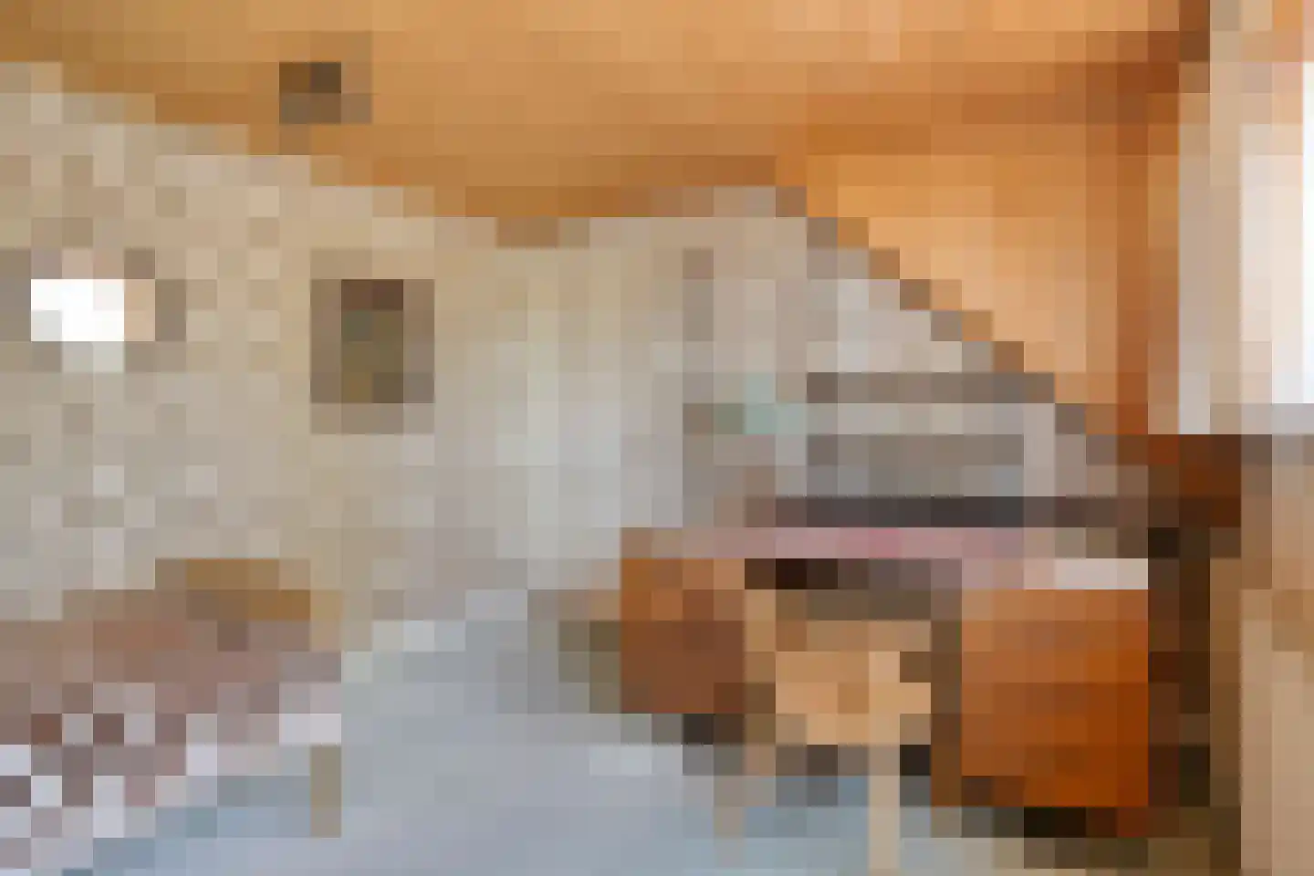 Kerkstraat 46 Beek en Donk thumbnail 23