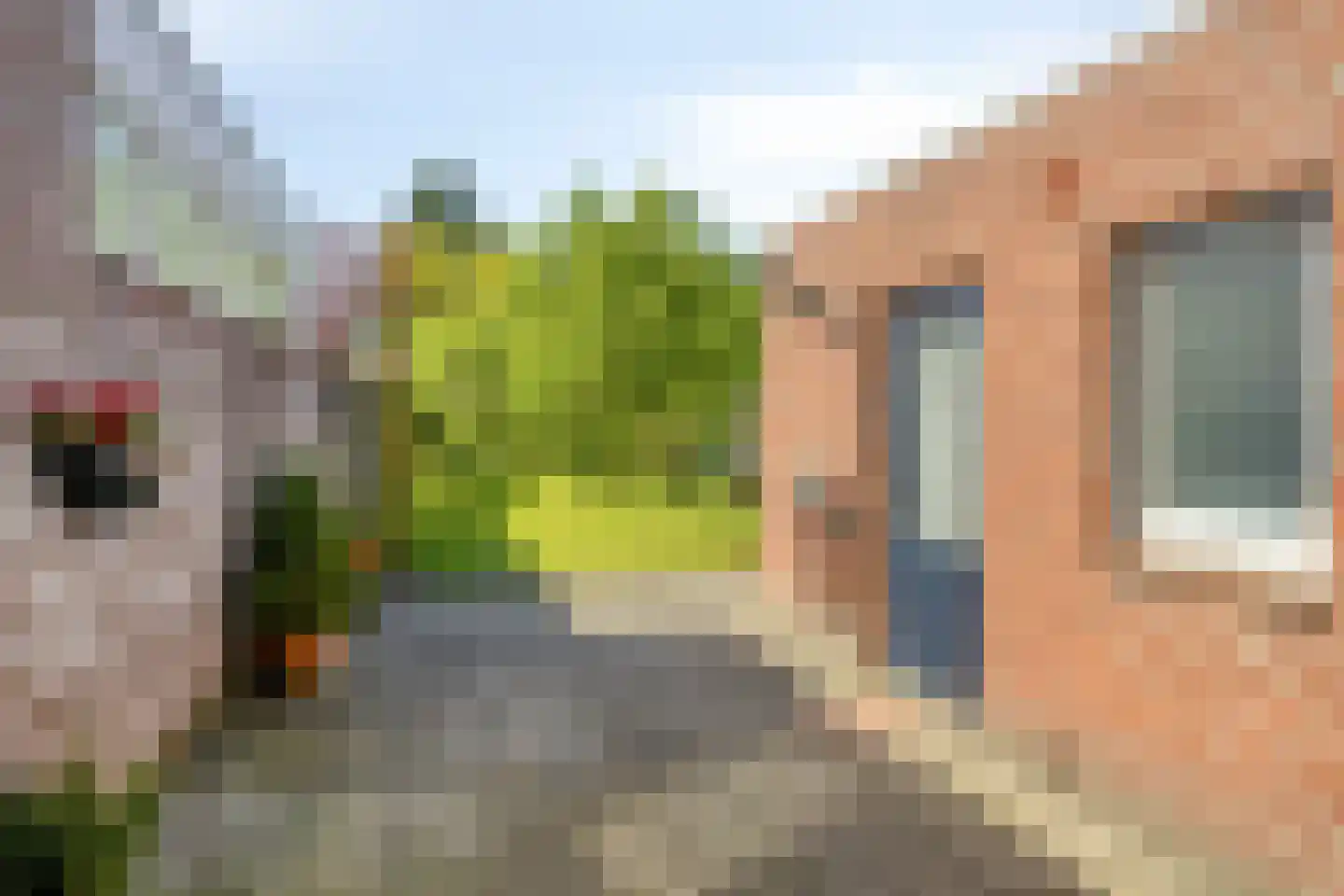 Kerkstraat 46 Beek en Donk thumbnail 27