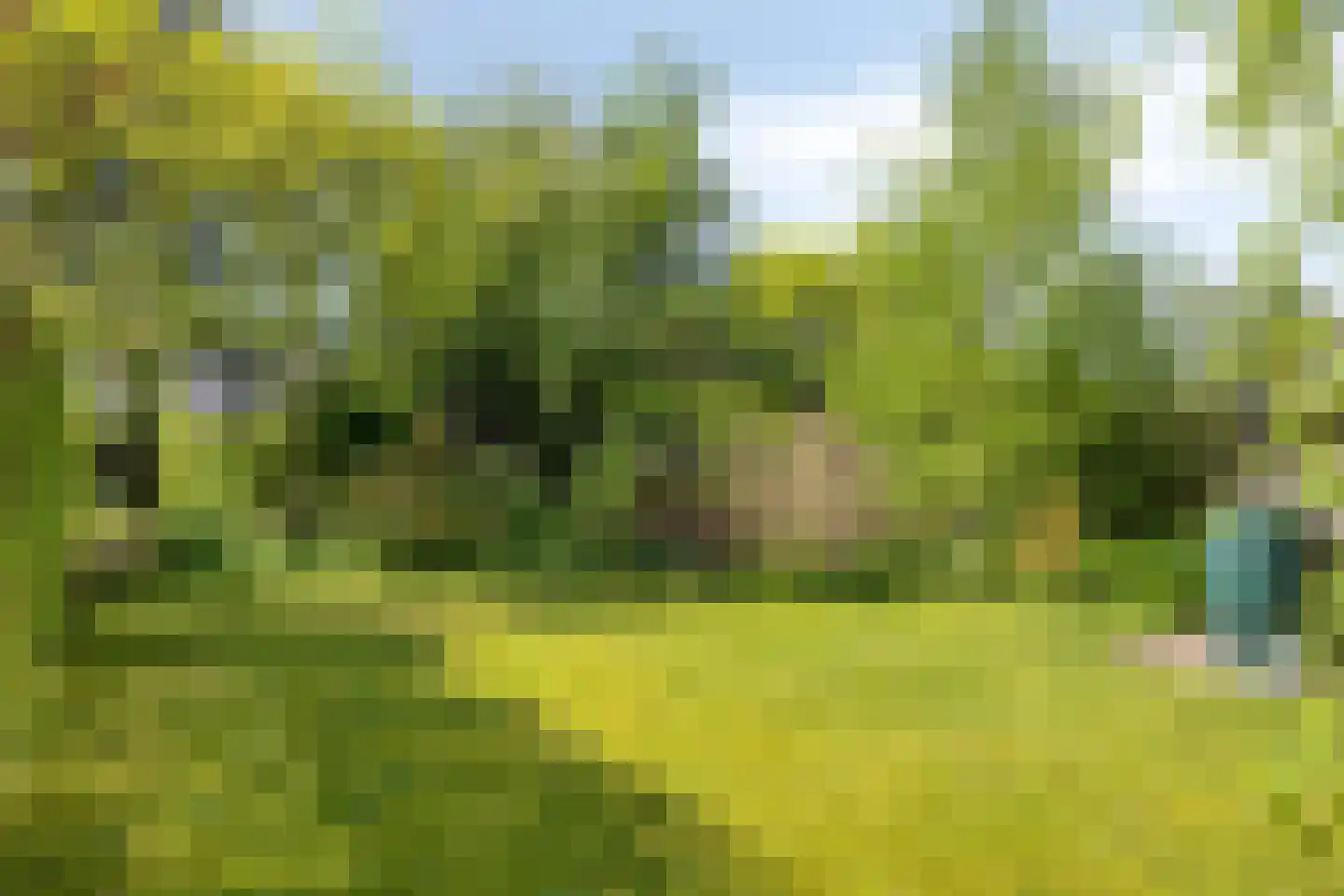 Kerkstraat 46 Beek en Donk thumbnail 30