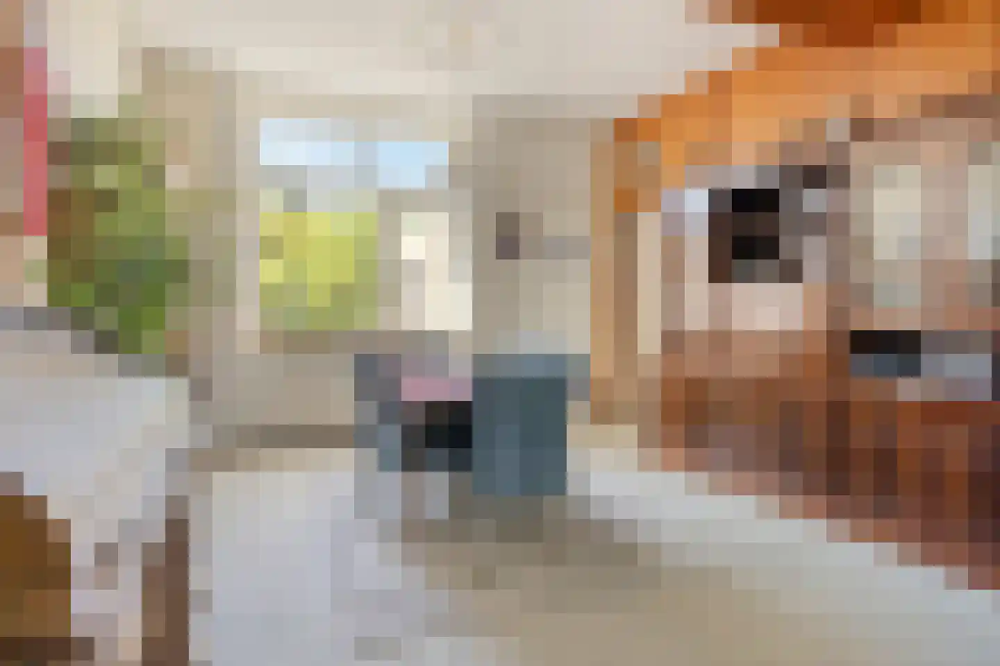 Kerkstraat 46 Beek en Donk thumbnail 7