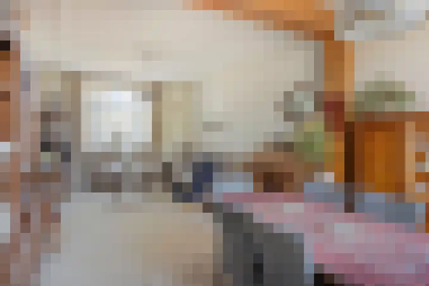 Kerkstraat 46 Beek en Donk thumbnail 8