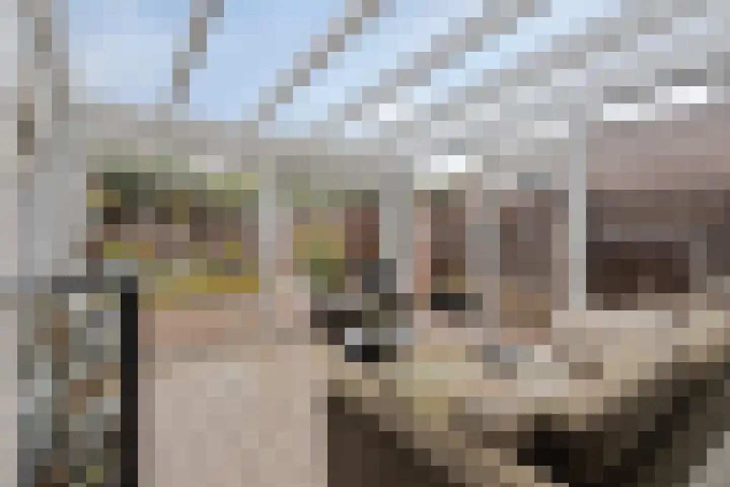 Kerkstraat 47 Best thumbnail 12