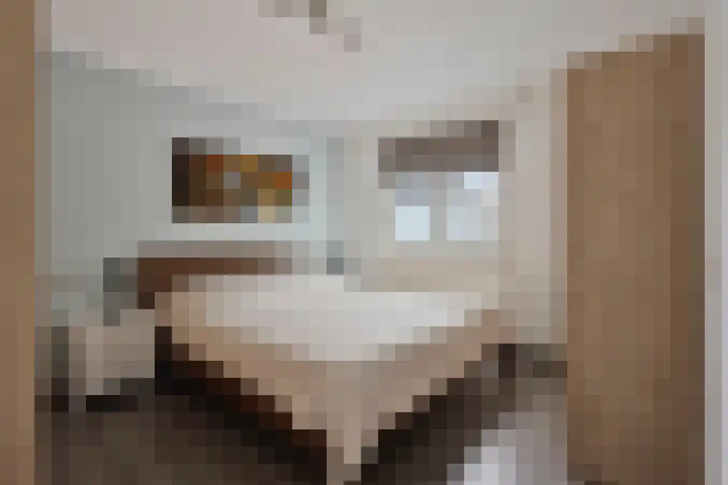 Kerkstraat 47 Best thumbnail 17