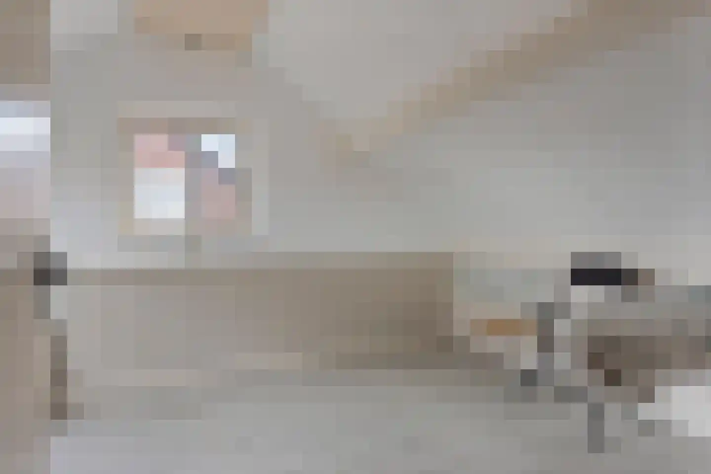 Kerkstraat 47 Best thumbnail 23