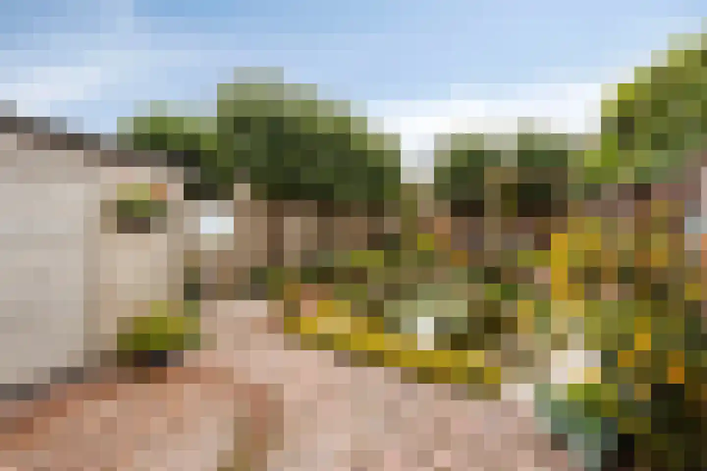 Kerkstraat 47 Best thumbnail 25