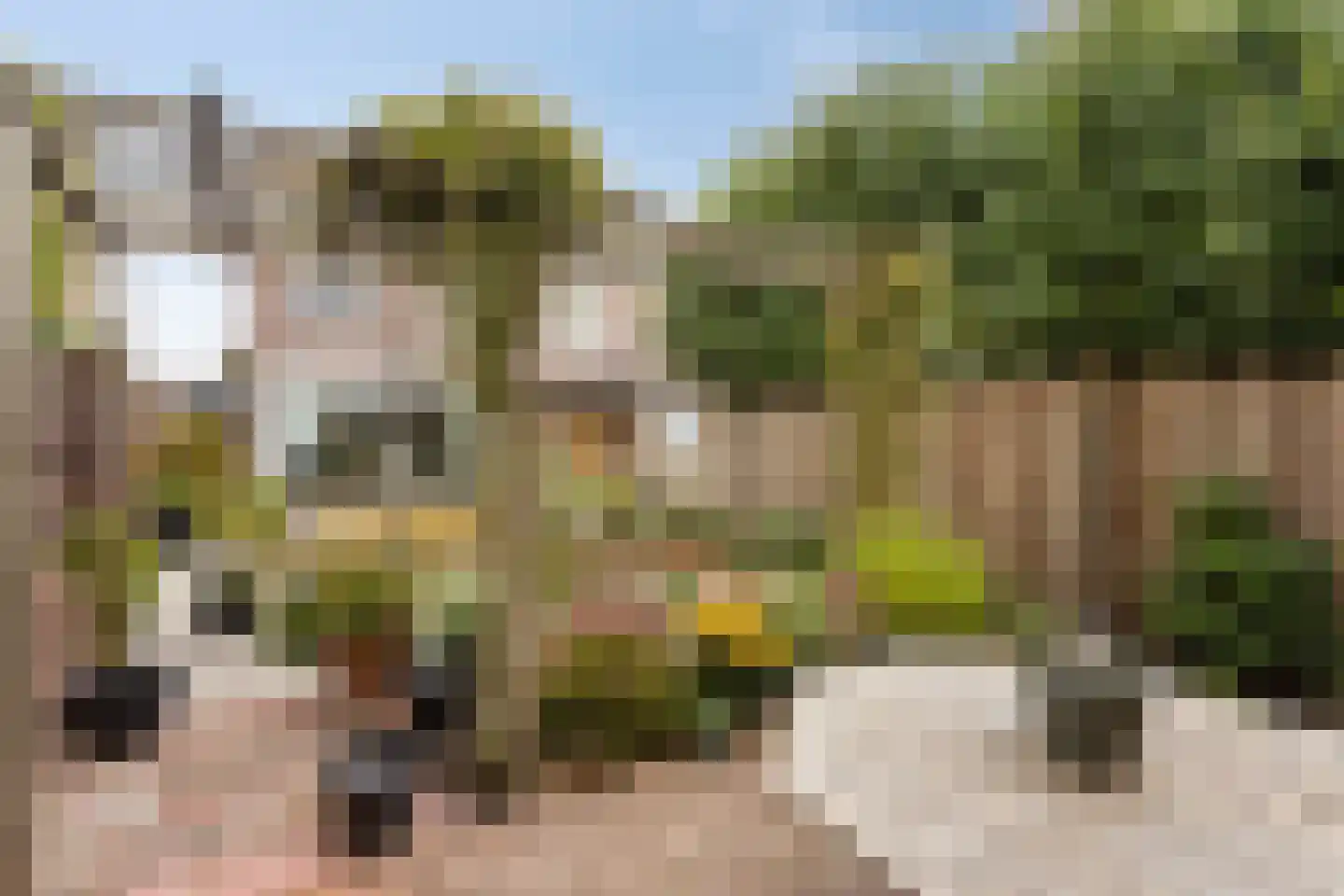 Kerkstraat 47 Best thumbnail 28