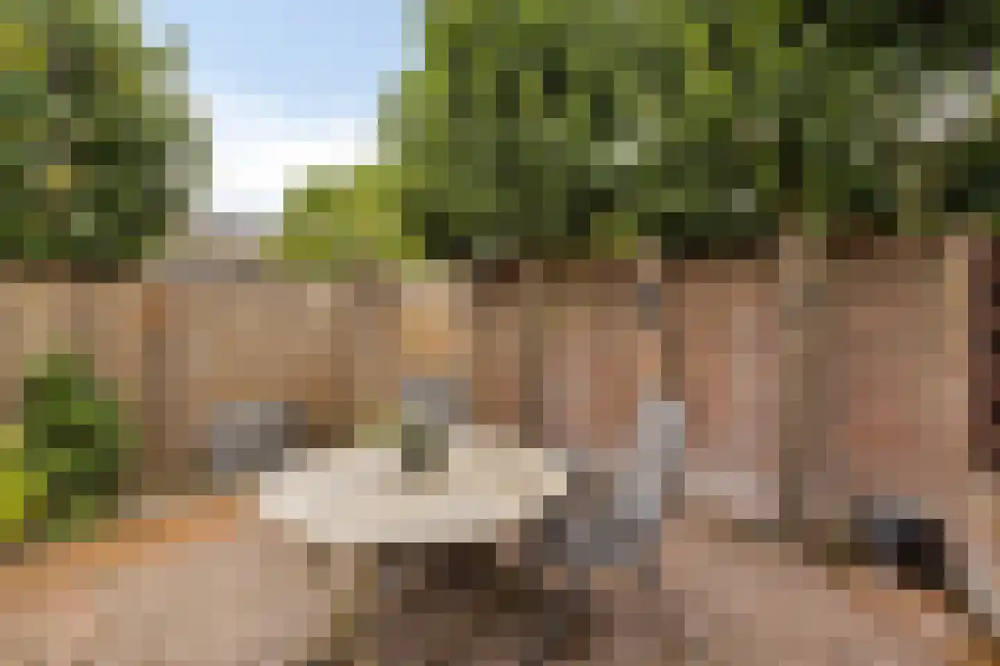 Kerkstraat 47 Best thumbnail 30