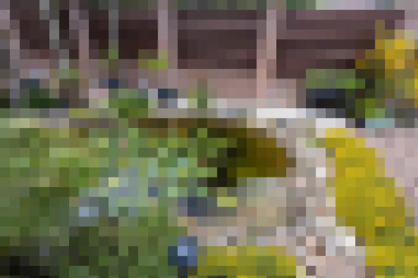 Kerkstraat 47 Best thumbnail 31