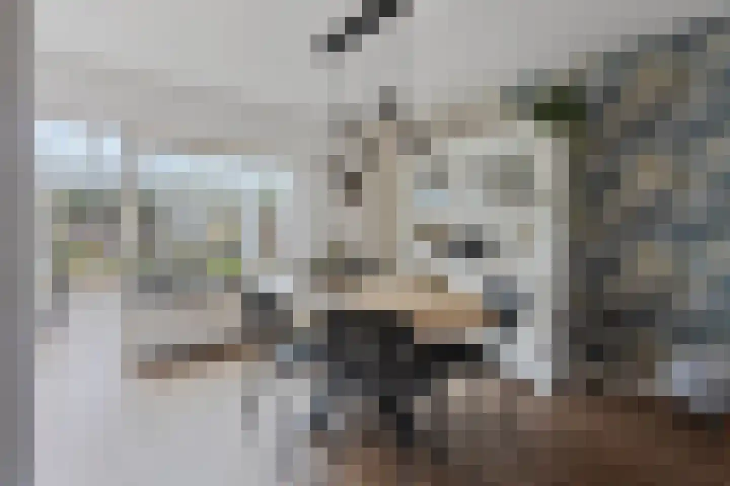 Kerkstraat 47 Best thumbnail 4