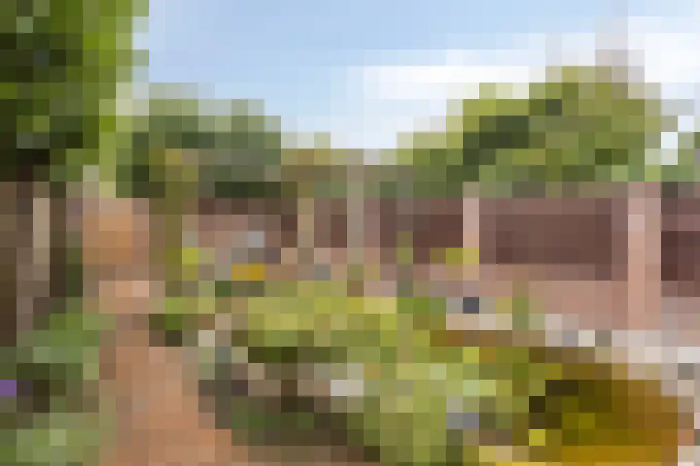 Kerkstraat 47 Best thumbnail 5