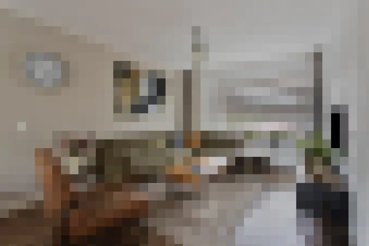 Kerkstraat 47 Best thumbnail 7