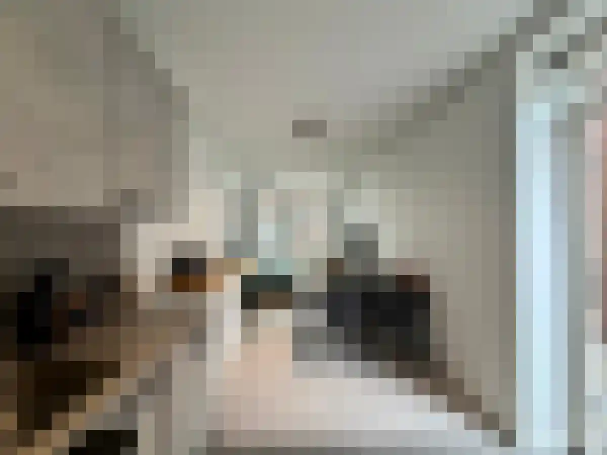 Kerkstraat 47 E Tegelen thumbnail 4