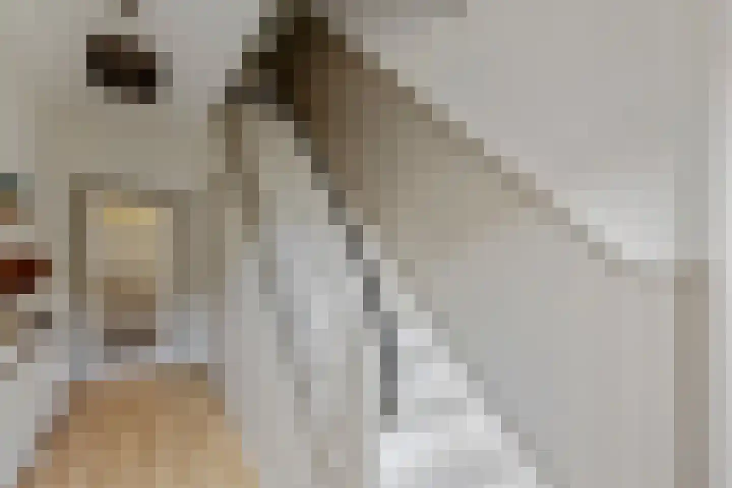 Kerkstraat 47 Susteren thumbnail 10
