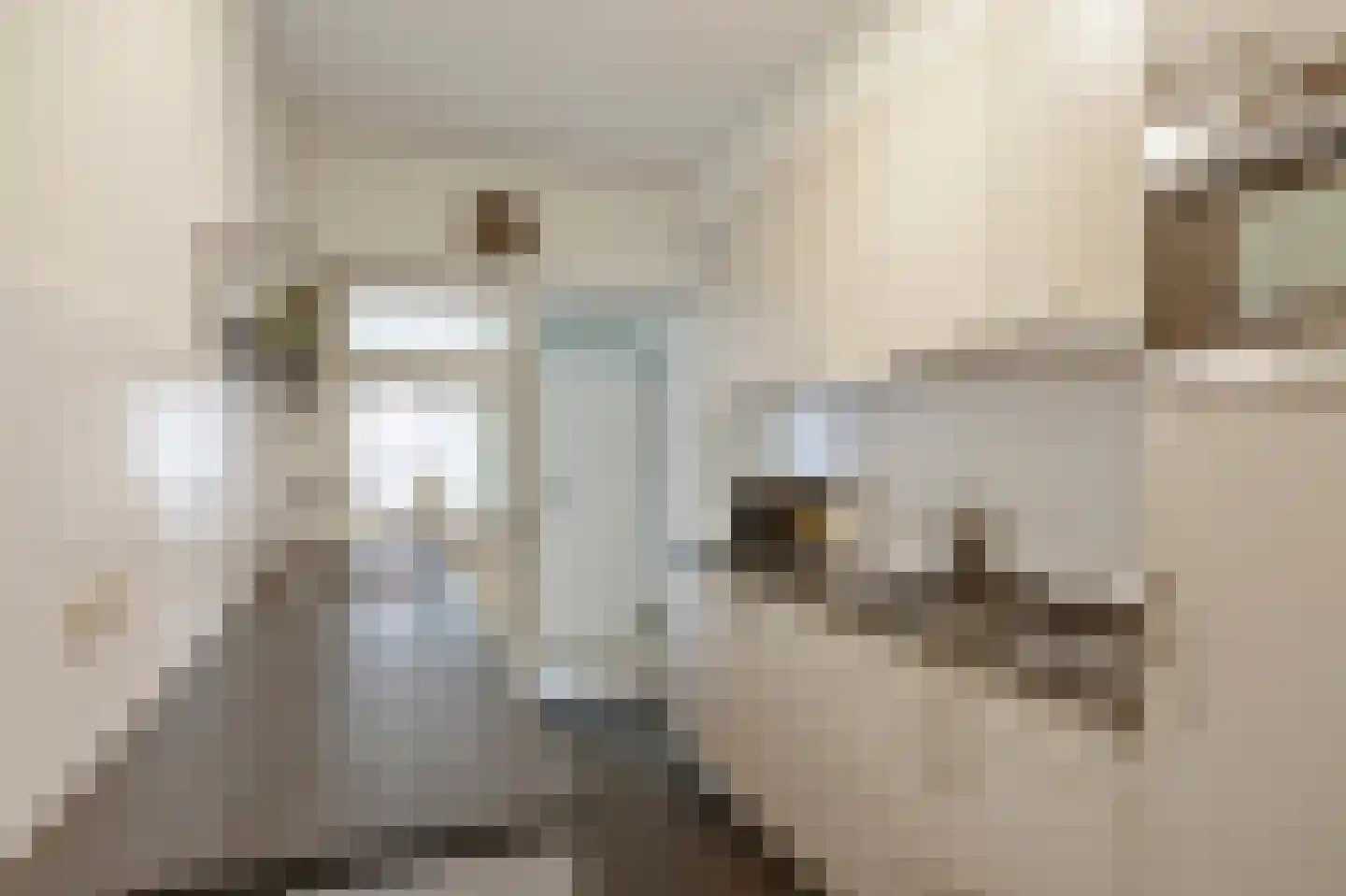 Kerkstraat 47 Susteren thumbnail 17