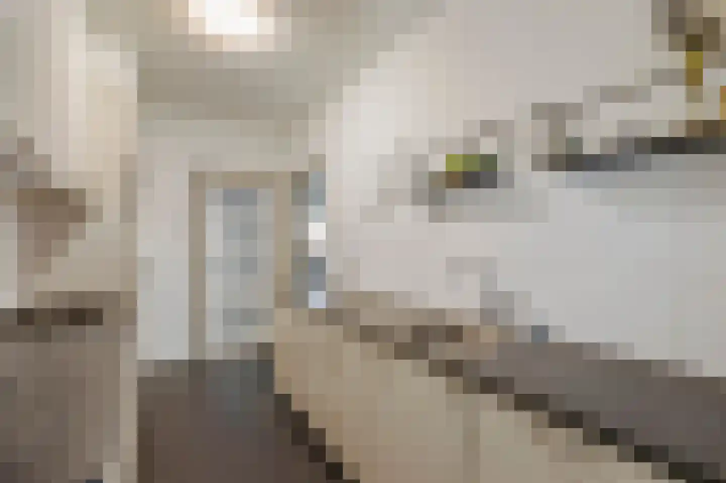 Kerkstraat 47 Susteren thumbnail 18