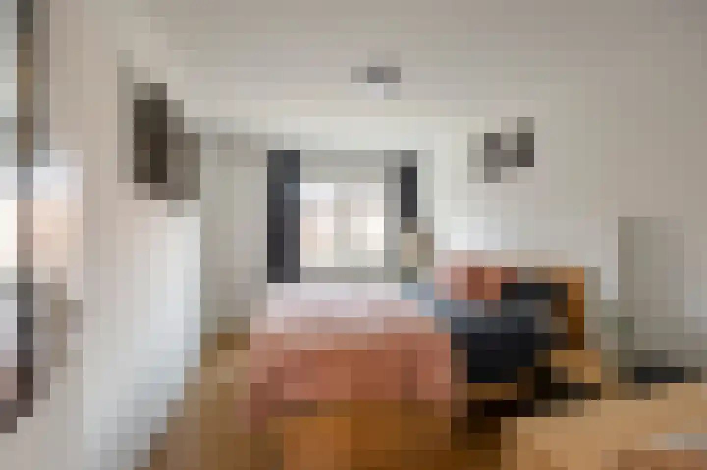 Kerkstraat 47 Susteren thumbnail 21