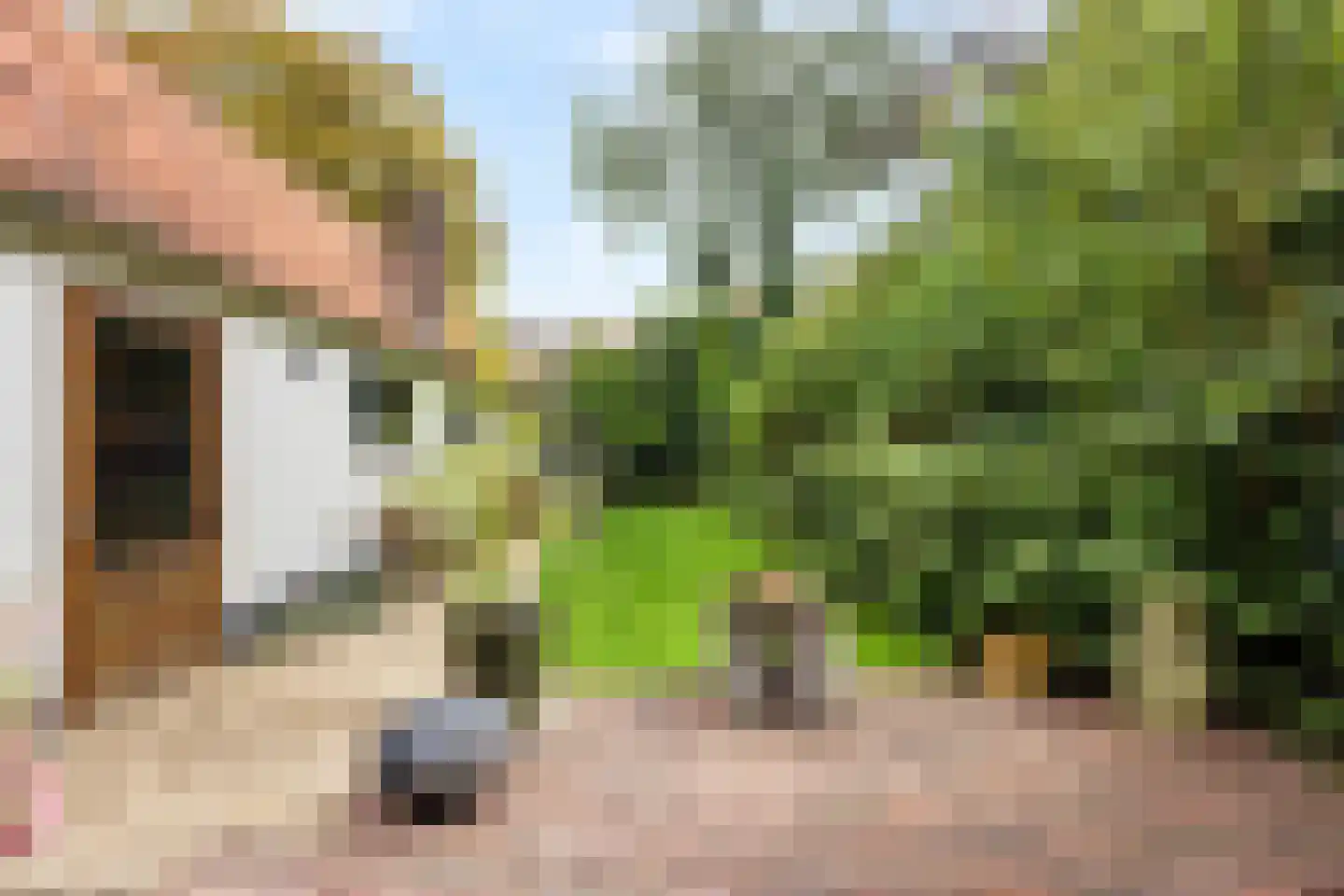 Kerkstraat 47 Wassenaar thumbnail 21
