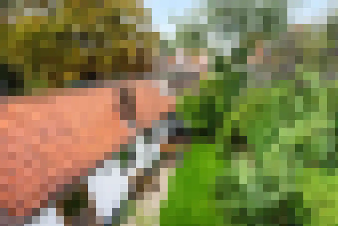 Kerkstraat 47 Wassenaar thumbnail 4