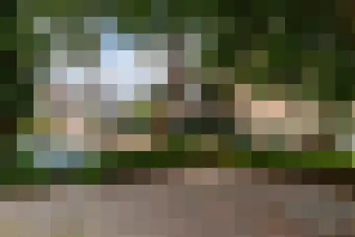 Kerkstraat 47 Zwijndrecht thumbnail 31