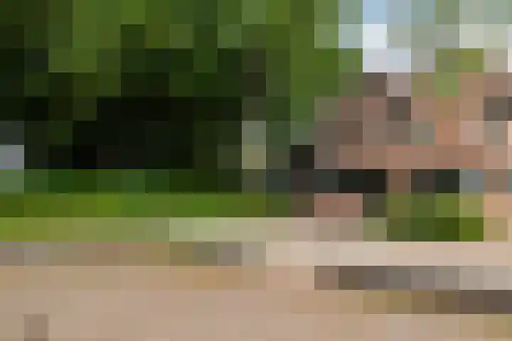 Kerkstraat 47 Zwijndrecht thumbnail 5